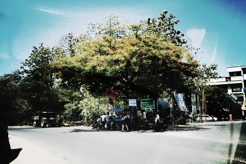 india tree shop under junction tamilnadu southindia iphone treeshade classictoy musiri iphoneclassictoyindiaindiancountrysidetamilnadutamilnadustatehighwayperambalurthuraiyurcentralroadhighwaytreelinedtamilnadustatehighway142tamilnadustatehighway30treeshade townsintamilnadu roadsintamilnadu