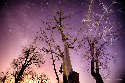 morning trees winter sky nature beautiful night canon stars landscape star early colorado colorful seasons purple astrophotography hdr 6d jamesinsogna