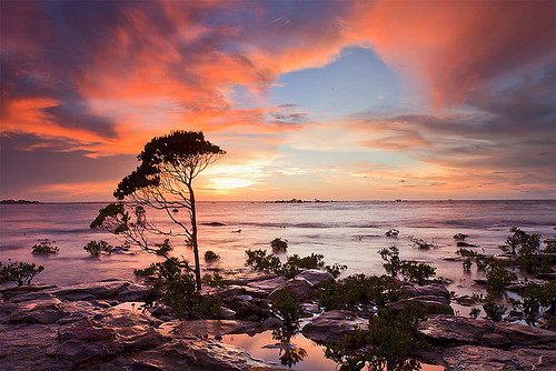 sunset cloud canon coast rocks nt australia darwin coastline mangroves northernterritory topend nightcliff the4elements leefilter thetopend bestofaustralia eos5dmarkii