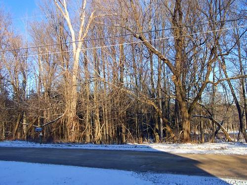 trees sky snow ny newyork tree mailbox landscape bluesky powerlines constable electriclines millerroad millerrd