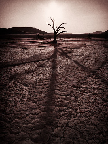 africa leica sunset sun tree sepia landscape desert monochrom namibia marci dlux sossusvlei namib deadtrees deadvlei landscapesdreams dlux4