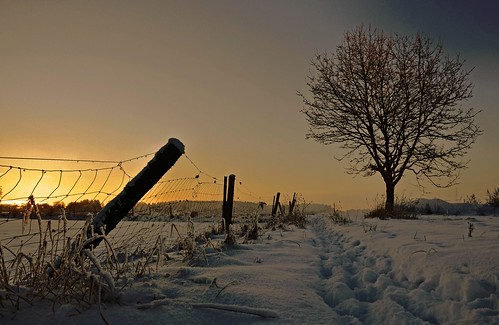 schnee winter sun snow sunshine landscape nikon ngc wintertime lüneburgerheide sonnenschein winterlandschaft nordheide pana53