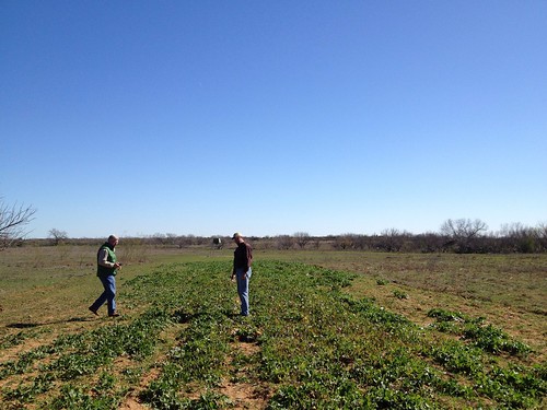 ranch friends sky vegetables texas farm farming trips visits turnips southtexas beekeeping friocounty