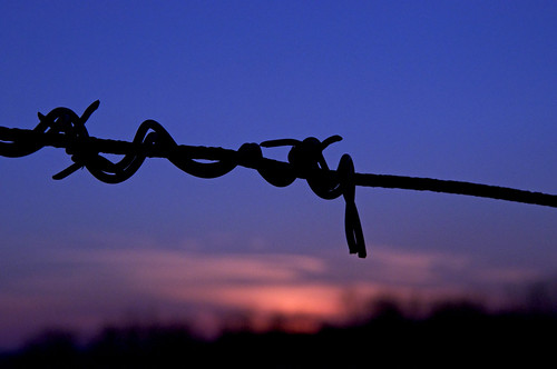 sunset barbedwire w3inc fencefriday