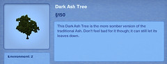 Dark Ash Tree