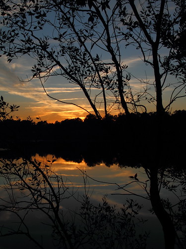 sunset sky lake reflection water sunshine twilight pond southcarolina monte lowcountry maranatha monckscorner mdggraphix lowcountrysunset lowcountrysunsets