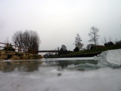 Cold as ice - Photo of Aulnay-sous-Bois