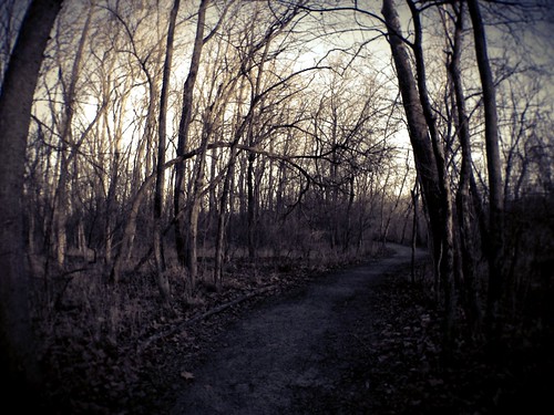 winter nature creek december indiana reservoir fishers fallcreek geistpark