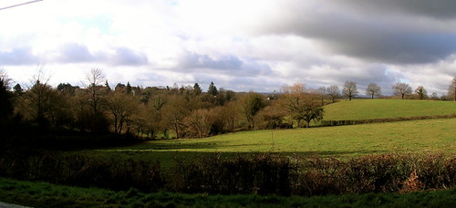 france arbres allier paysages auvergne bocage viplaix