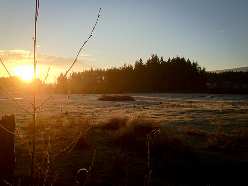sunrise frost oceanside fields ios qualicum