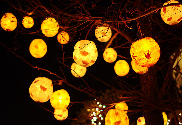 Lanterns - 2011 Winter Solstice Lantern Festival
