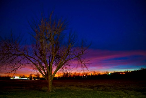 sunset red tree night landscape cloudy
