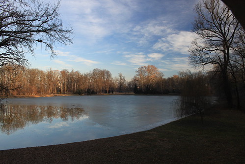 winter italy alberi canon lago racconigi parcoinverno