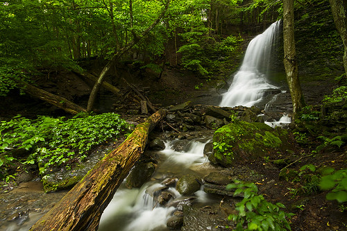 usa ny green water beautiful forest canon waterfall peaceful calm falls fresh glen clean gorge lush waterblur fingerlakes untouched tranquil freshwater pristine otiscolake 2013 bucktailfalls