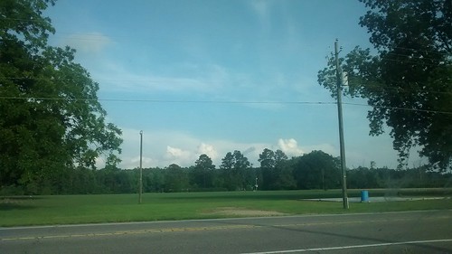 trees sky tree nature field weather clouds landscape nc northcarolina greenery fairmont hwy41 highway41 robesoncounty