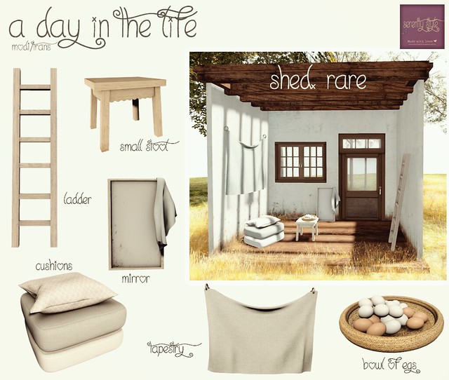 Serenity Style- A day in the life gacha