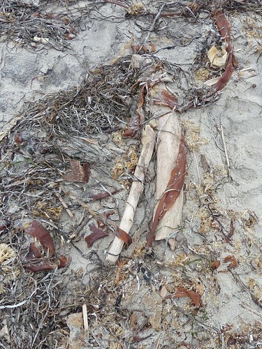 beach sand rhodeisland detritus blockisland anawesomeshot rubyphotographer