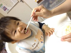 朝御飯たべるとらちゃん(2011/12/7)
