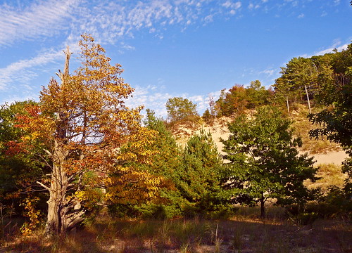 autumn trees fall nature colors clouds woods michigan dunes scenic bluesky lakemichigan panasonic bluffs rosymound grandhaven naturalarea ottawacounty fz18 scenicsnotjustlandscapes jimflix