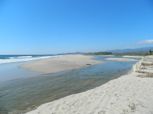 planta méxico puerto mar agua nikon playa arena oaxaca escondido puertoescondido 2011 manialtepec puertosuelo