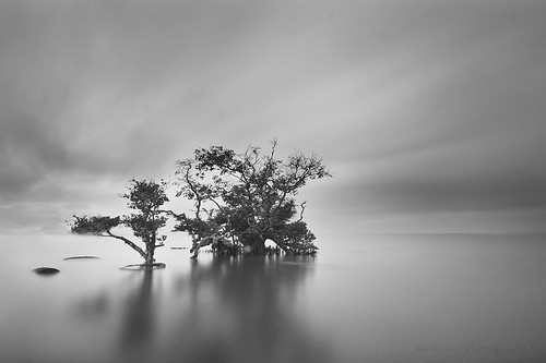 ocean longexposure morning light sea sky bw bali cloud motion reflection beach nature water canon indonesia landscape photography eos three agua scenery aqua asia view natur monotone filter nd usm filters efs 1022mm sanur monocrome canonefs1022mmf3545usm gnd f3545 450d