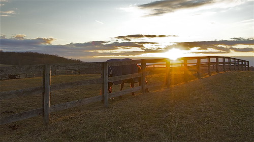sunset sky horse field grass clouds fence farm northsalemny
