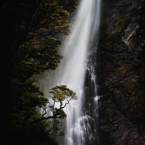 newzealand waterfall arthurspass southisland beech