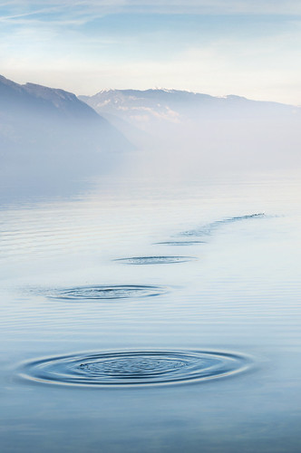 mist france reflection stone mirror boat quiet peace lac peaceful tranquility calm clear serenity chambéry savoie contemplative bourget ricochet lacdubourget lakebourget