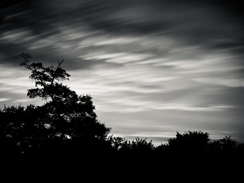 sky bw motion silhouette © treeline garyburke bwnd110 10stopfilter olympuse620