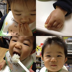 朝御飯とらちゃん(2012/1/19)