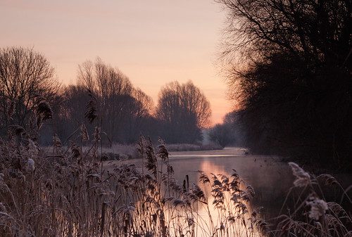 ice sunrise january peterborough phragmites willows cambridgeshire rivernene