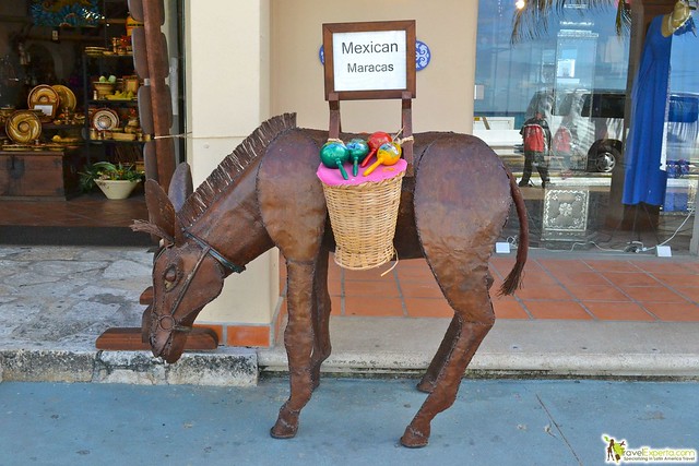 donkey in mexico cozumel port