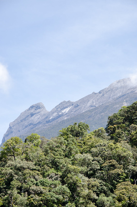 Experience the beginning of Mount Kinabalu's climbing at Kinabalu Park, Sabah