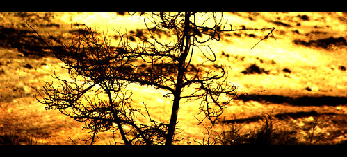 naturaleza arboles paisaje cielo retofotografíco2012canon550d