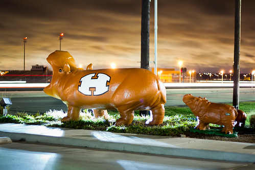 nightphotography winter fall night canon landscape football texas statues ii hippo f18 smalltown hippos 79 fridaynightlights 50mm18 centraltexas hutto ef50mm niftyfifty huttotexas huttohippos ringexcellence huttohighschool