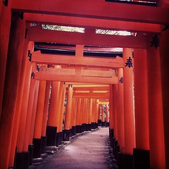 Conquered the famous red gates Torii! やっと山頂まで行った！