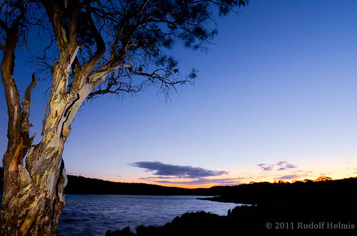 nightphotography tree water landscape australia nsw snowymountains threemiledam