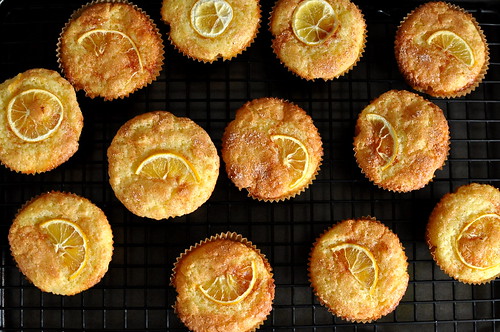 Meyer Lemon Muffins