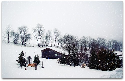 winter snow tree barn germany landscape pentax nassau frauenstein oremountains k200d