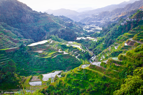 mountain landscape farming terraces valley sagada banauericeterraces canon18135