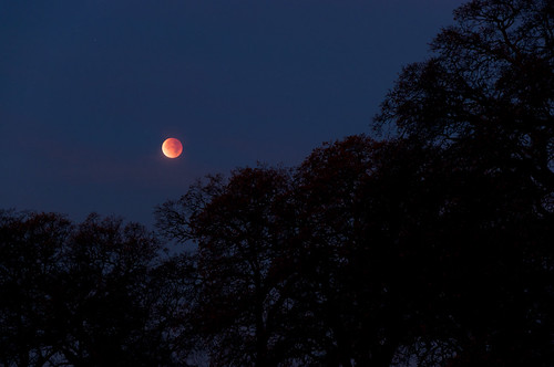 moon night dark oaks lunareclipse