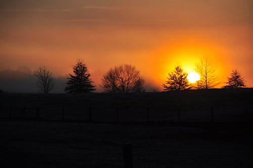 blacksburg virginia usa sunrise mornign sun trees silhouette d90 sooc dawn view500