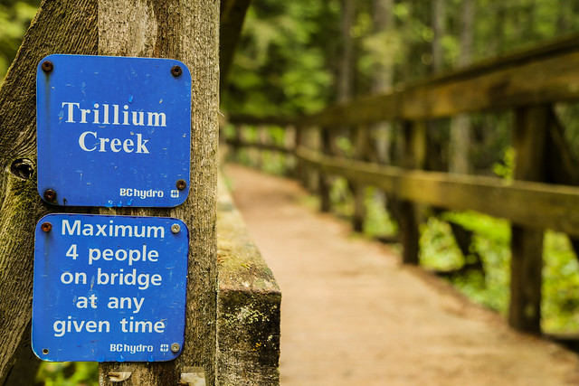 Trillium Creek sign
