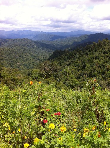 rainforest resort malaysia viewpoint perak titiwangsa belum banjaran
