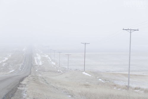 road winter white snow fog landscape powerlines saskatchewan southcentral 365project