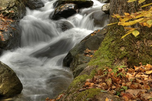 autumn fall leaves virginia waterfall nationalpark nikon outdoor hiking hdr d300 18200mm photomatix