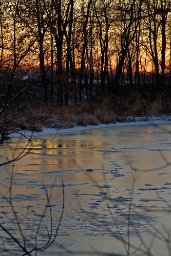 trees winter sunset snow reflection wisconsin river unitedstates solstice brook spruce kellybrook ocontoriver