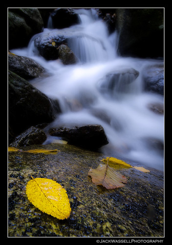 longexposure autumn winter cold fall water yellow waterfall leaf cool rocks soft seasons smooth indianwells sigma1020mm sheltonconnecticut
