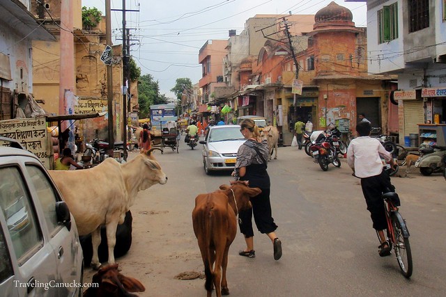 Backstreets of Jaipur, India