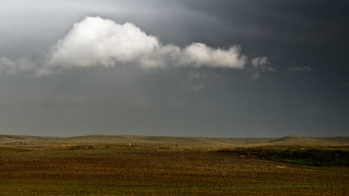 california light shadow sky cloud storm landscape cattle minimalism minimalist mercedcounty stormbreak californiathunderstorms dmclx5